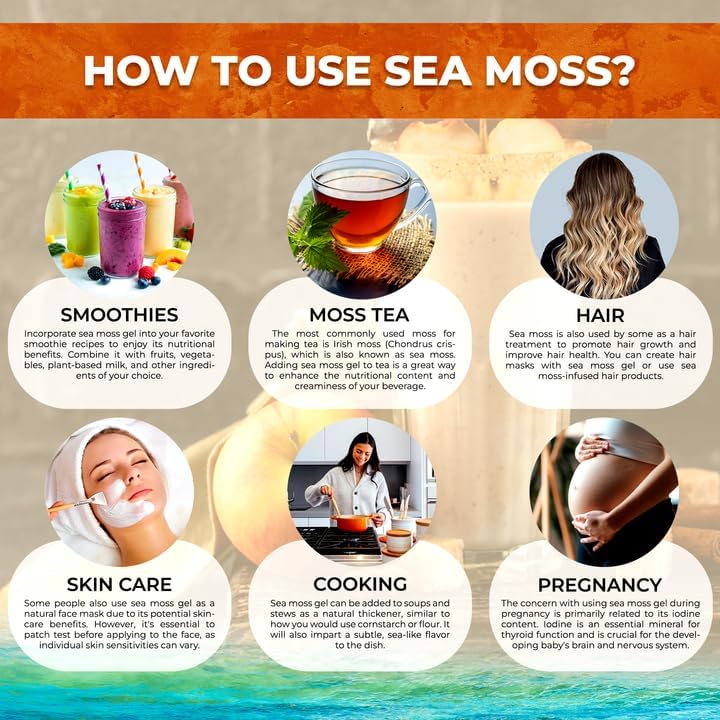Irish Sea Moss Gel Raw - Wildcrafted Superfood Seamoss Gel - Apple Cinnamon Flavor, Vitamin and Mineral-Rich from Pristine Caribbean Waters, Immune and Digestive Health Support - 10 oz