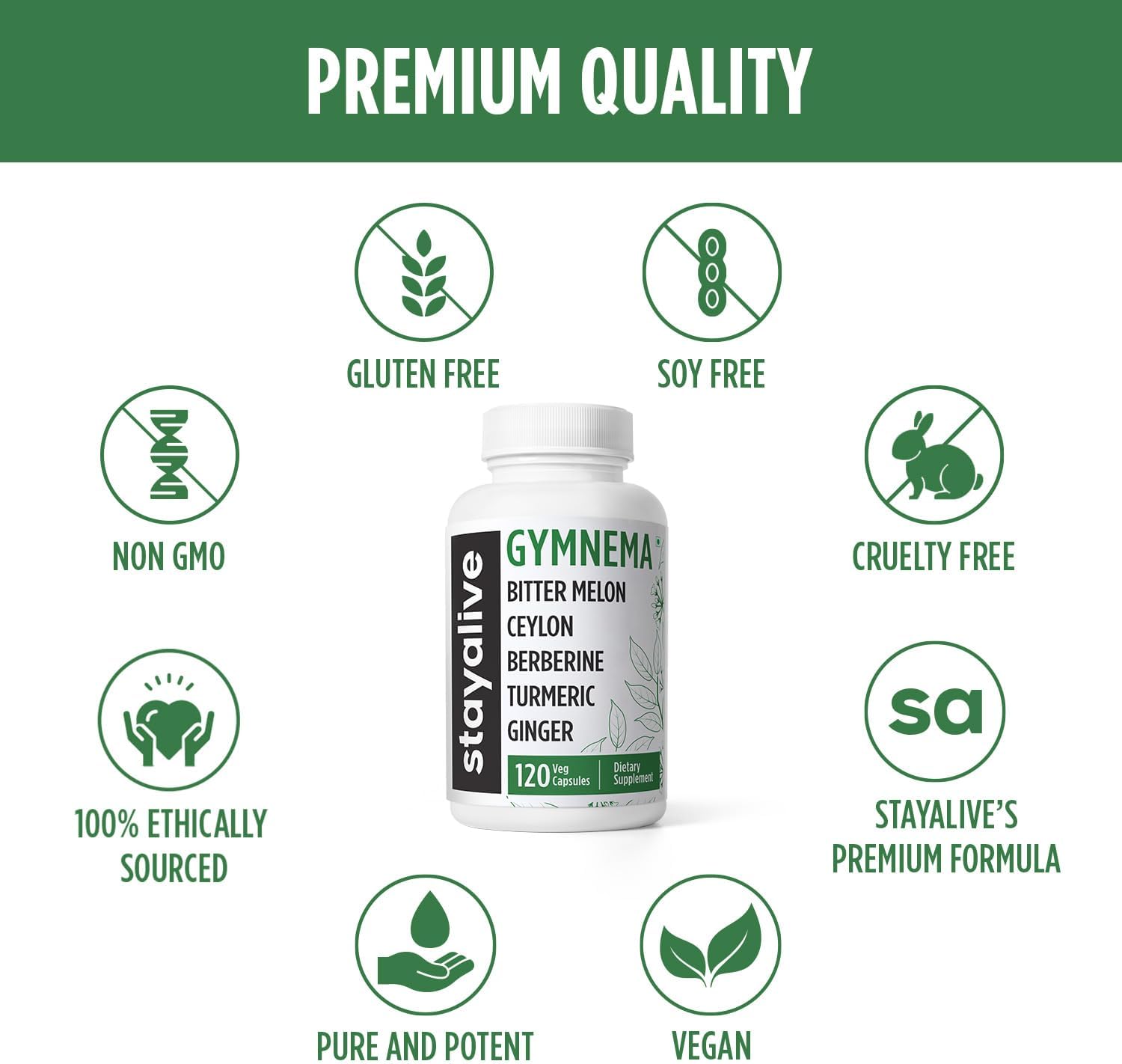 STAY ALIVE Gymnema Sylvestre 25:1 Extract, 120 Capsules with Bitter Melon, Ceylon Cinnamon, Berberine, Turmeric, Ginger, Amla Powder and Fenugreek, Non-GMO & Gluten Free Gymnema Sylvestre Supplement