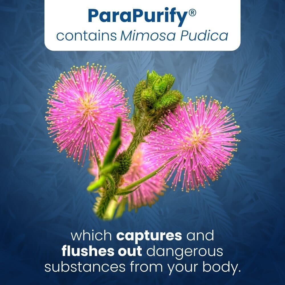 ParaPurify-120 Capsules: Digestive Health Support Supplement Includes Mimosa Pudica Black Walnut Supreme Nutrition- Organic Formula, Non-GMO All-Natural Herbal Blend for Optimal Gut Health
