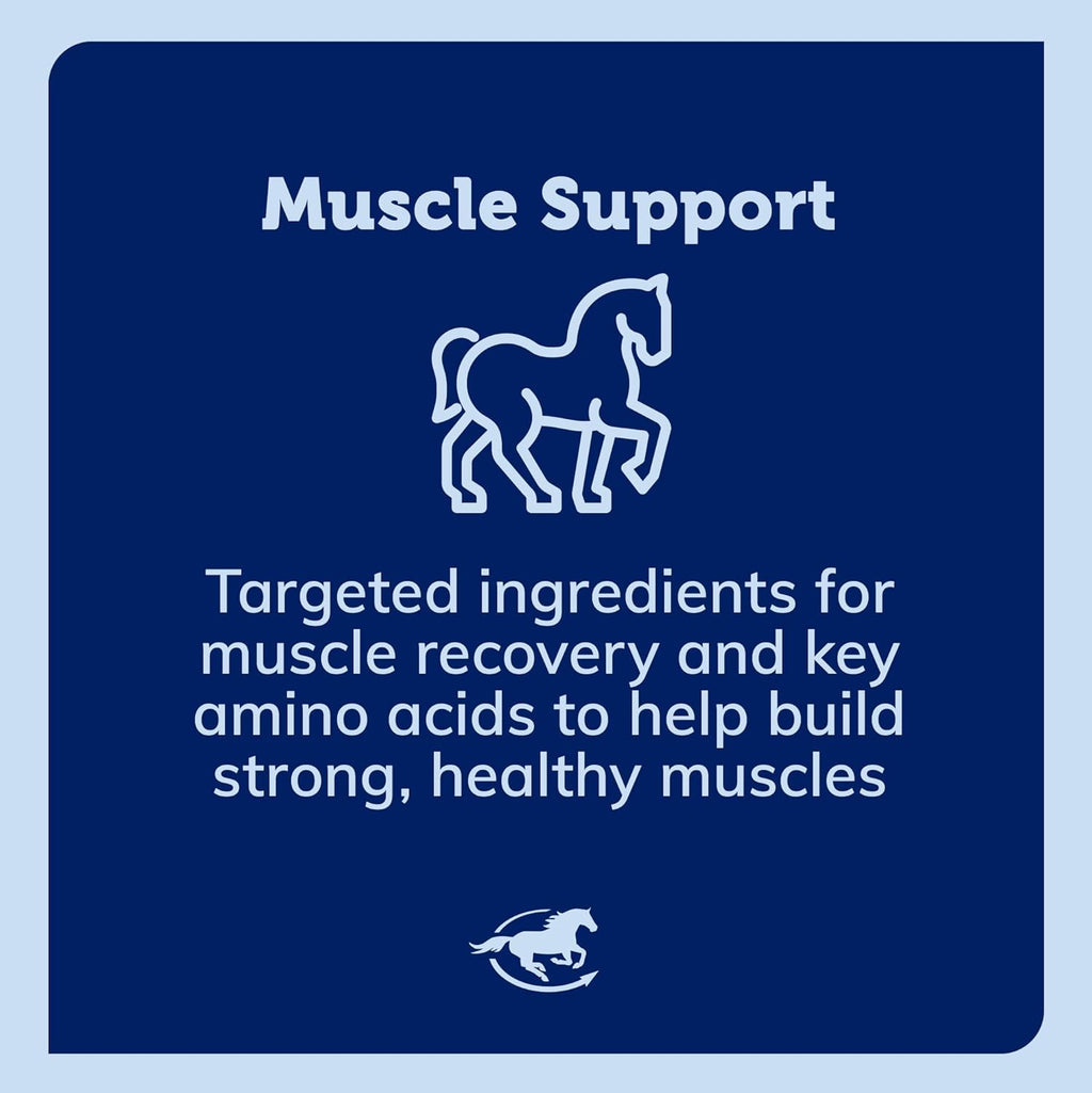 Uckele by SmartEquine Acetyl L-Carnitine HCL Powder | Horse Energy Supplement & Muscle Supplement for Horses Supporting Muscle Function & More | Antioxidant-Rich Pure Formula | 1 lb Bag