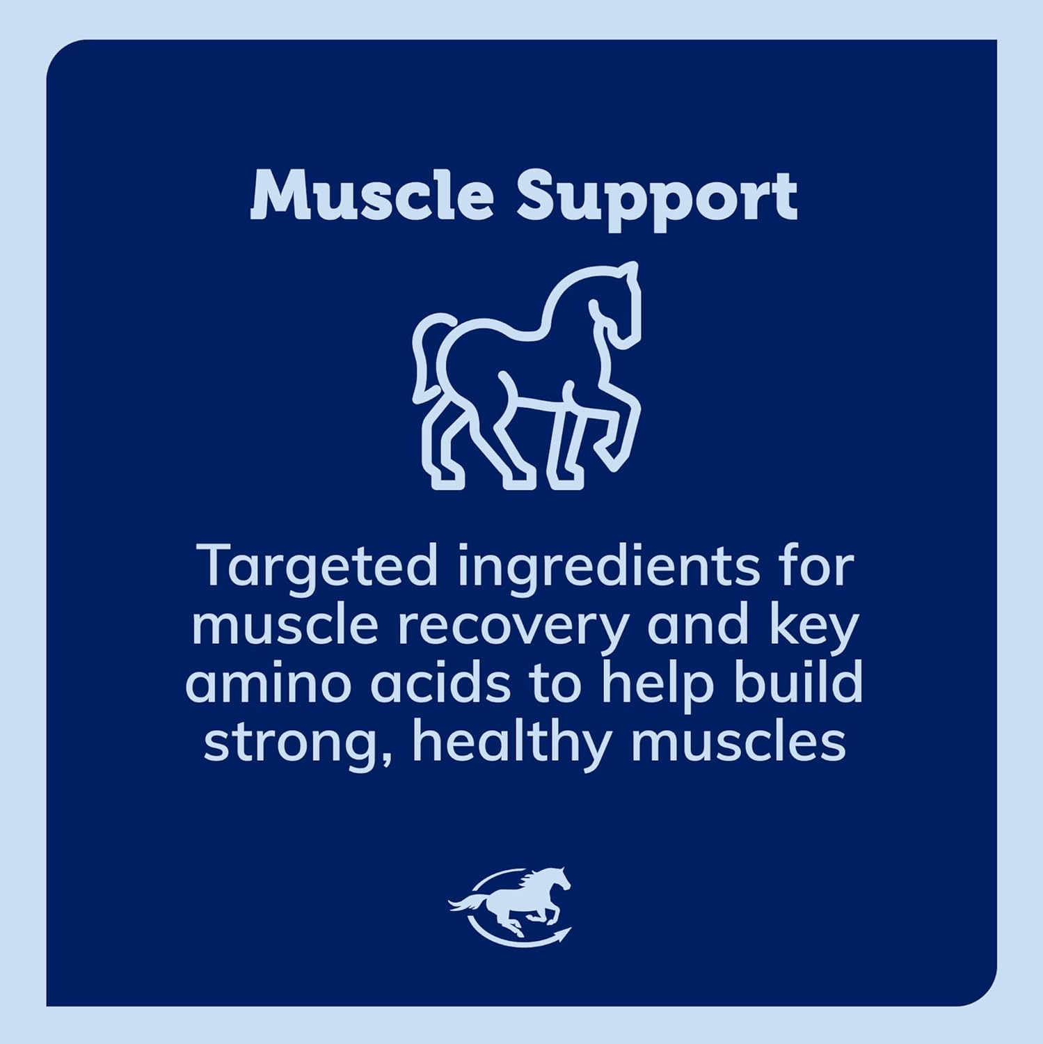 Uckele by SmartEquine Acetyl L-Carnitine HCL Powder | Horse Energy Supplement & Muscle Supplement for Horses Supporting Muscle Function & More | Antioxidant-Rich Pure Formula | 1 lb Bag