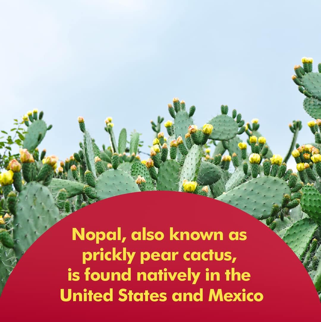 Santo Remedio Nopal, Sugar and Gluten Free Dietary Supplement, Prickly Pear Cactus Dietary Supplement, 700 mg, 180 Capsules, 90 Servings Per Container