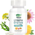 Lymphatic Drainage Supplement with Dandelion,Echinacea & Bromelain Extracts, Lymph System Support for Men and Women - 60 Count Bottles (1)