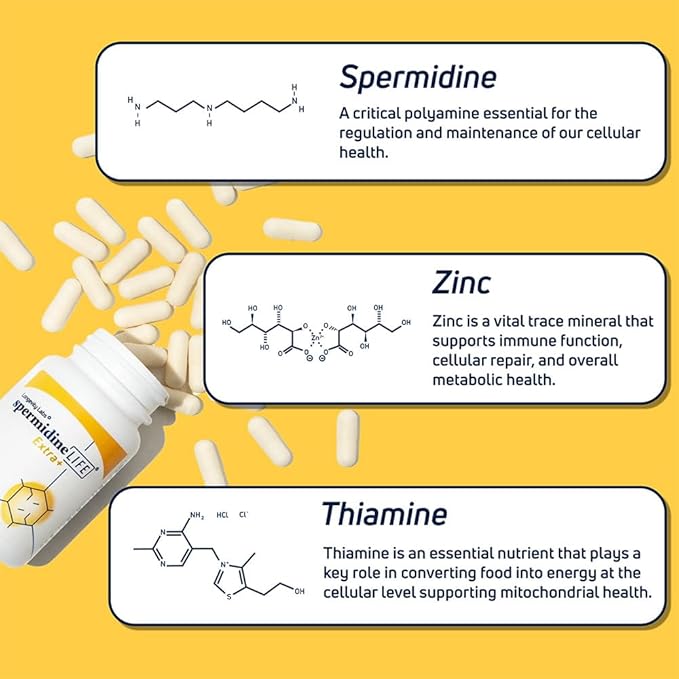 Longevity Labs+ spermidineLIFE Extra+ Natural Supplement, Non-Synthetic Plant-Based Wheat Germ Extract with High Spermidine & Zinc for Cell Renewal, Vegan, for Women & Men, 60 Capsules