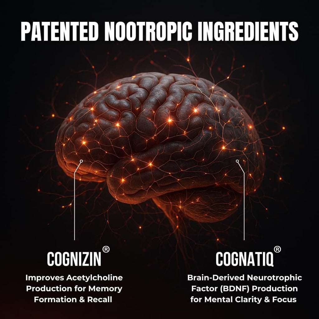 Advanced Nootropic Brain Supplement for Energy, Memory, & Focus | Lion's Mane, Caffeine, L-Theanine, and 5 Additional All-Natural Ingredients to Improve Cognitive Health (90 Capsules)