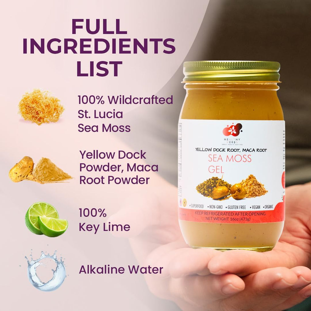 Healthy Herbs Sea Moss Gel (Yellow Dock) Wildcrafted from Jamaican St Lucia Gold Seamoss | Wild-Harvested Superfood With Over 90 Essential Vitamins & Minerals | Vegan, Non-GMO, US-Made (16 oz.)