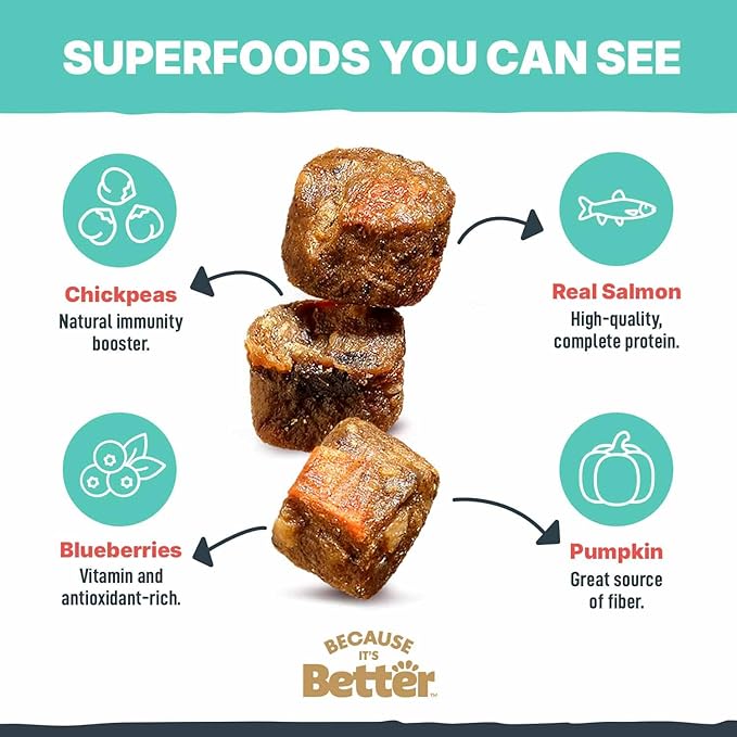 Because It's Better Slow Baked and Air Dried Dog Food, Real Salmon and Veggies, 1lb Bag, Complete and Balanced Dry Dog Food, for All Life Stages