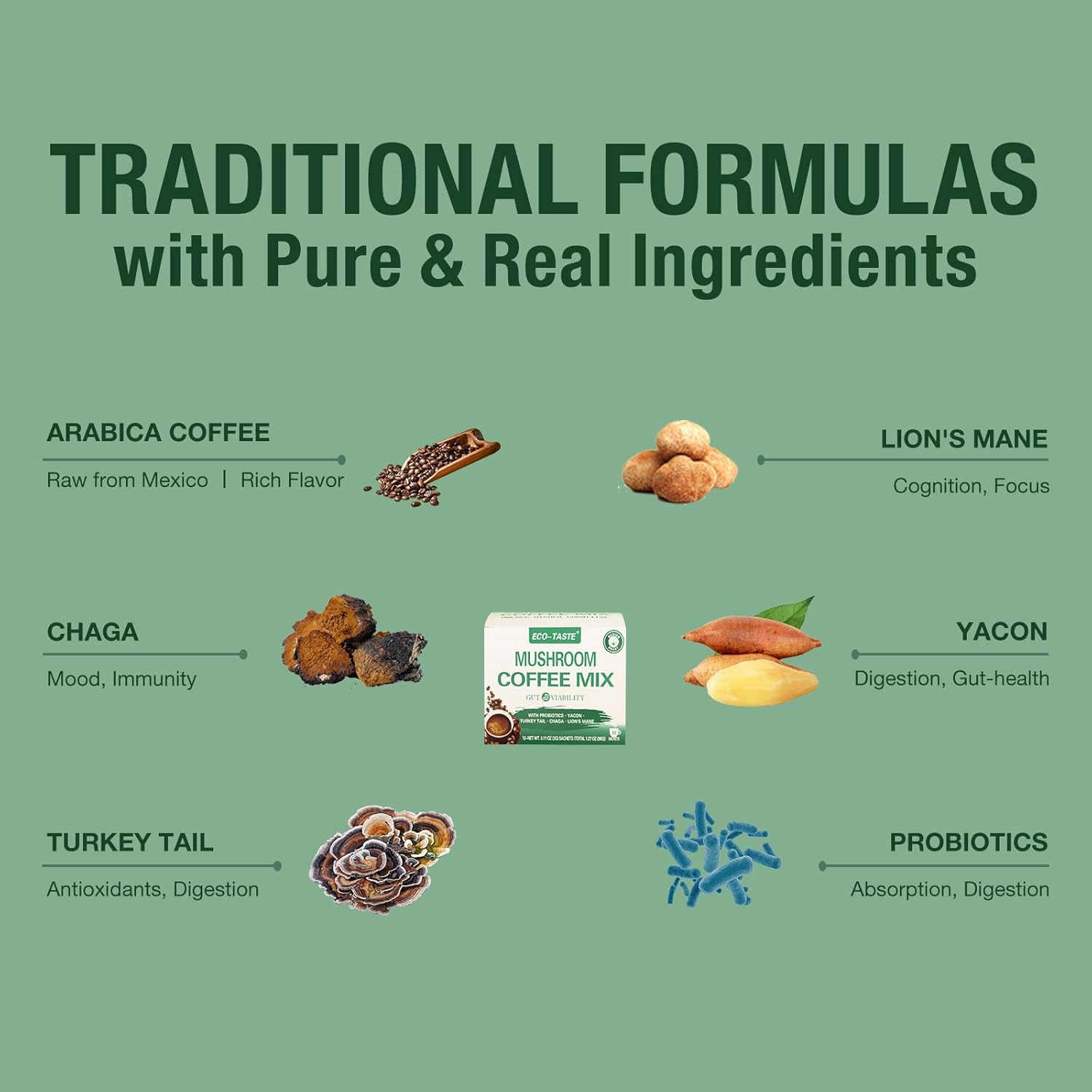 ECO-TASTE Mushroom Coffee Mix, Designed for Gut-Health with Chaga, Lion's Mane, Turkey Tail, Yacon and Probiotics – 12 Sachets