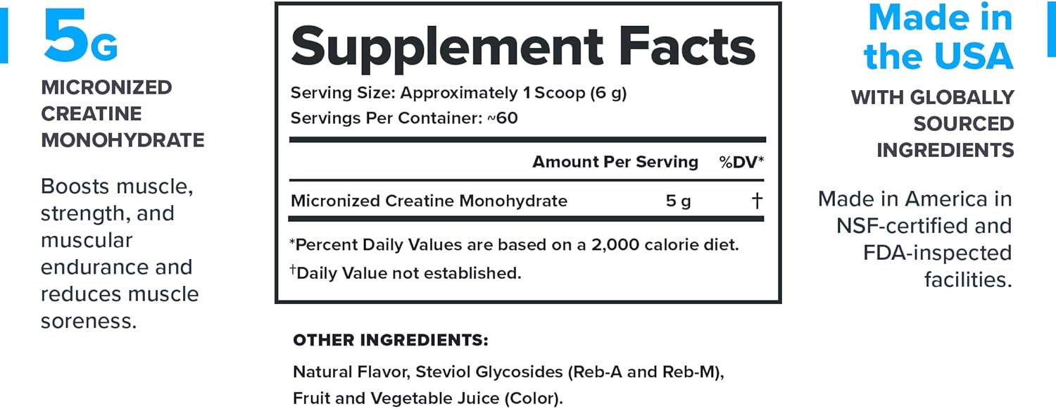LEGION Micronized Creatine Monohydrate Supplement - Clean Creatine Powder for Muscle Gain & Post Workout Recovery - Micronized Creatine Supplement for Maximum Absorption (60 Servings, Fruit Punch)