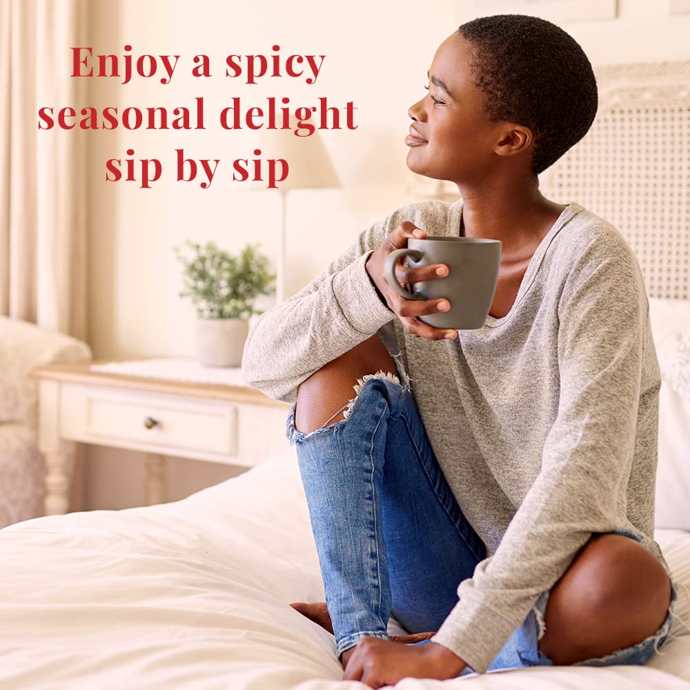 The Republic of Tea – Comfort and Joy Tea, Holiday Spice Blend, 50 Tea Bags, Naturally Caffeinated