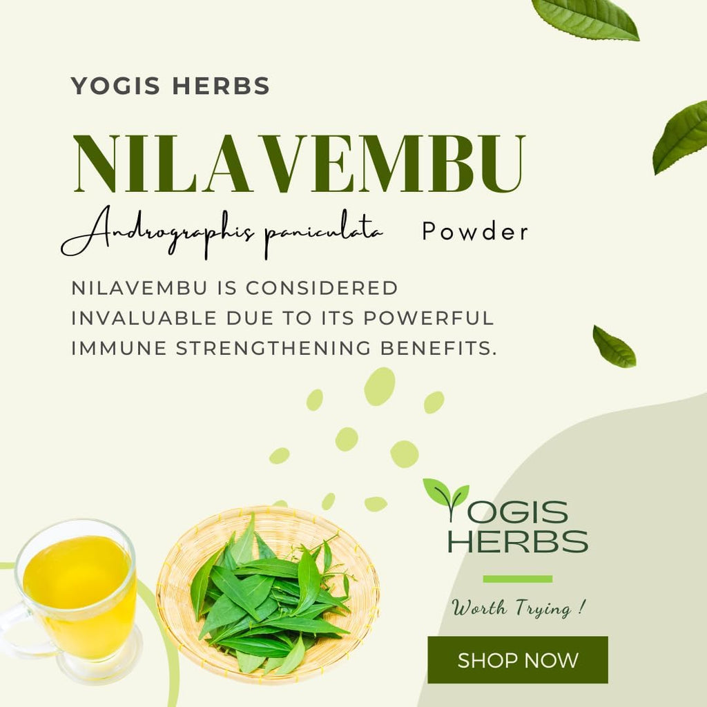 Nilavembu Powder – Andrographis paniculata (Green Chiretta/Kalmegh) – 100% Natural & Pure Herbal Supplement for Natural Immune Support, Liver Health Support & Digestive Wellness (3.5 oz)