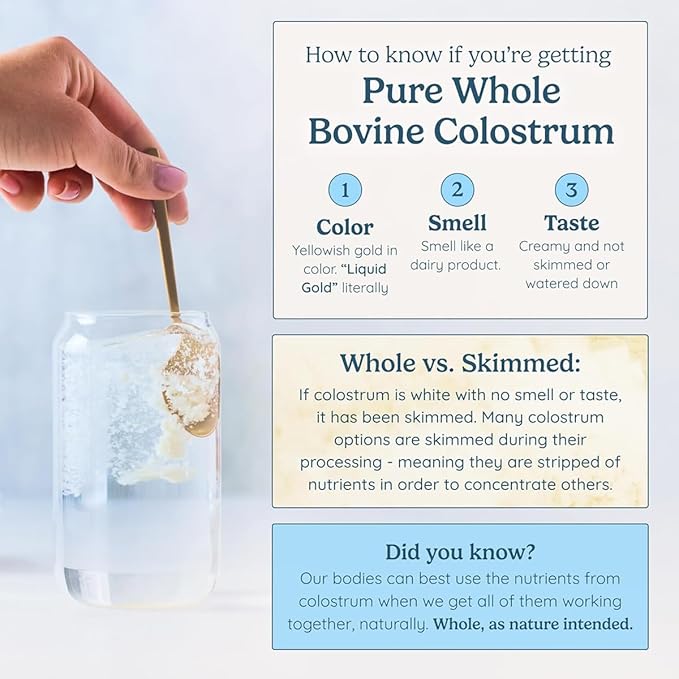 Colostrum Supplement Powder for Gut Health, Immune Support, Muscle Recovery & Wellness | Natural IgG Pure Whole Bovine Colostrum Superfood, Vanilla, 30 Servings