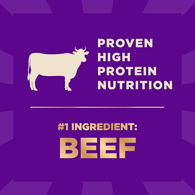 Wellness CORE+ Dry Dog Food with Freeze Dried Pieces, Wholesome Grains, High Protein, Natural, Beef & Barley Recipe, (4-Pound Bag)