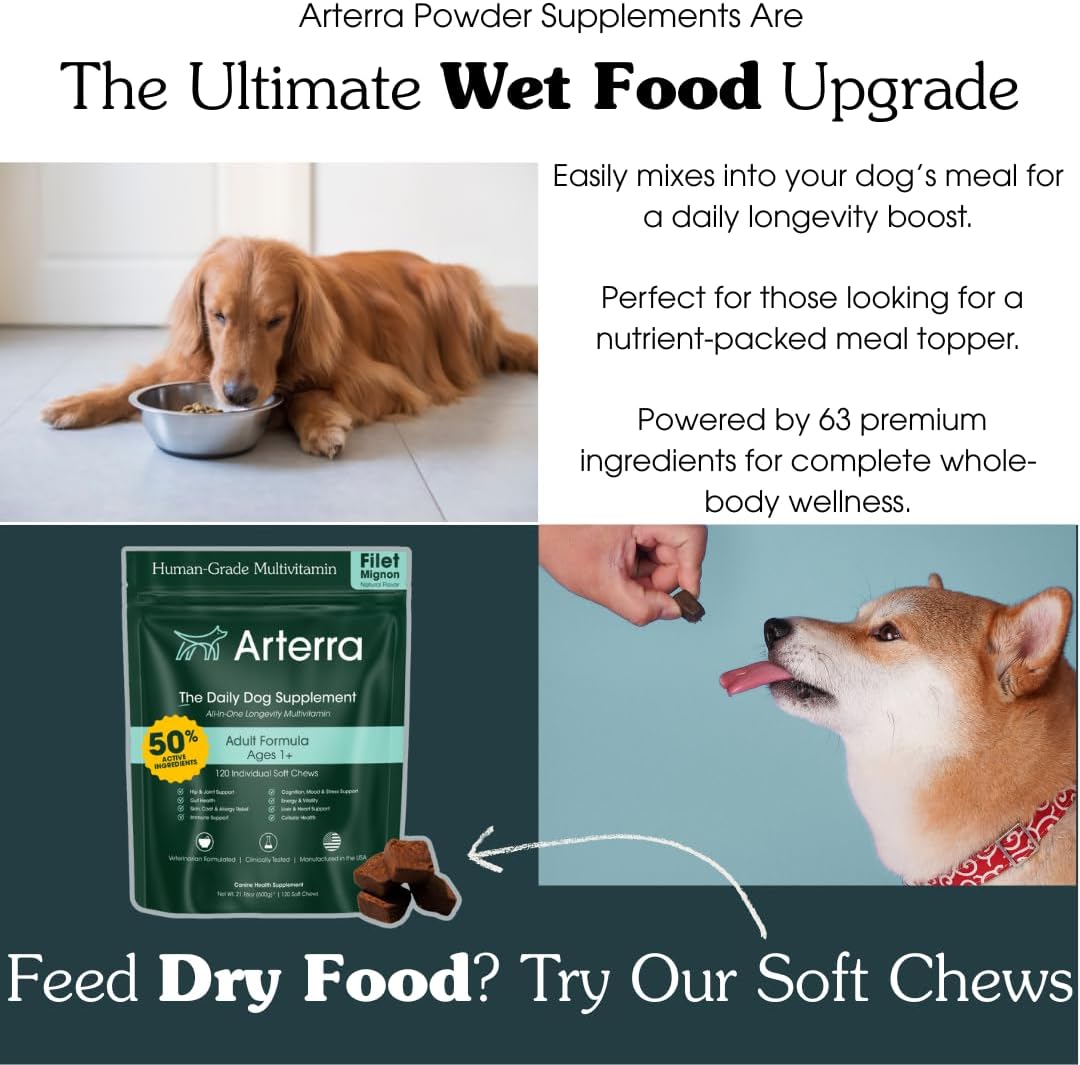 Adult Dog Powder Supplement & Food Topper – 46 Ingredients for Gut, Immune & Brain Health – Daily Longevity Multivitamin for Whole Body Wellness | 120 Scoops