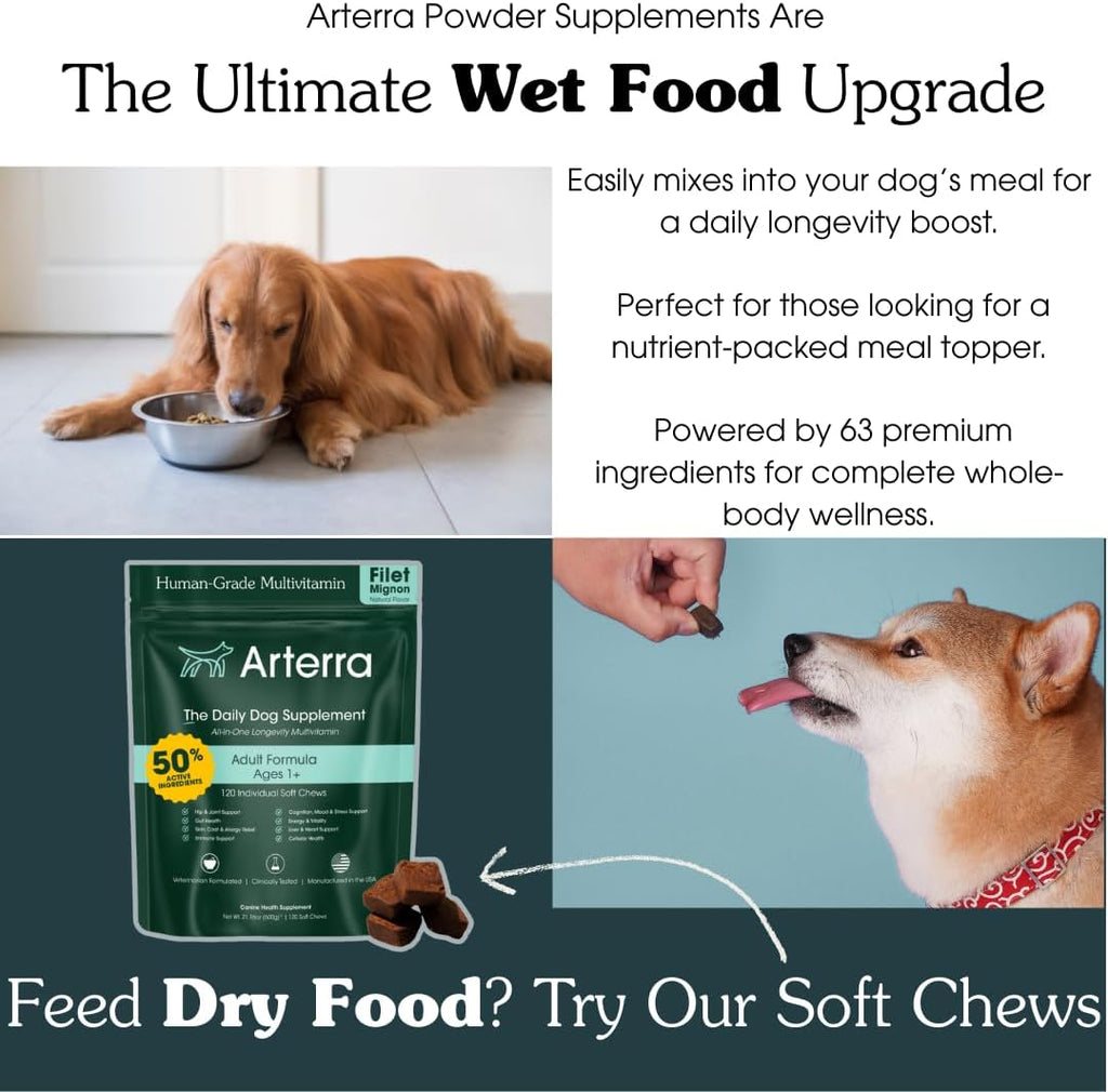 Adult Dog Powder Supplement & Food Topper – 46 Ingredients for Gut, Immune & Brain Health – Daily Longevity Multivitamin for Whole Body Wellness | 30 Scoops