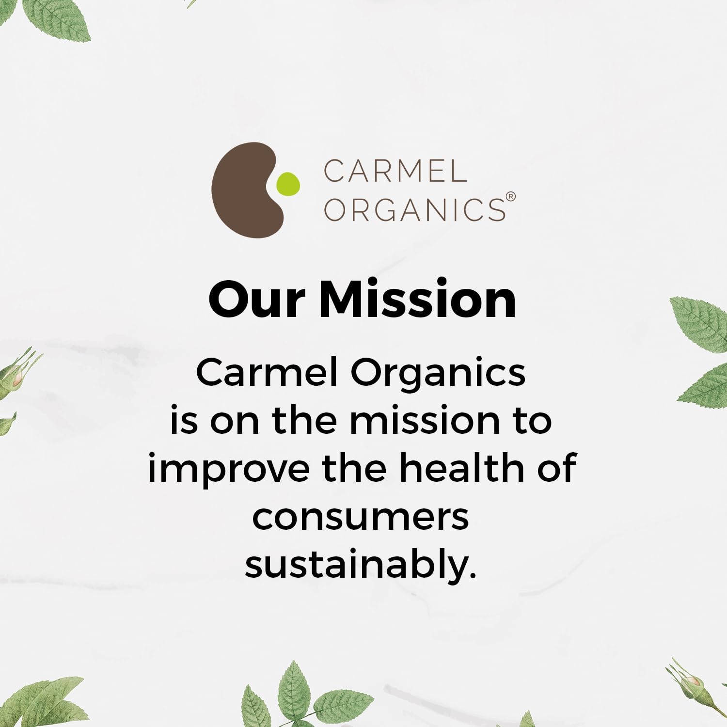 CARMEL ORGANICS Mucuna Pruriens Natural (White) Seeds Powder 8 Ounce or 0.5 Lb/227 Grams | Non GMO | Kosher | Kapikachhu Powder | No Added Preservative