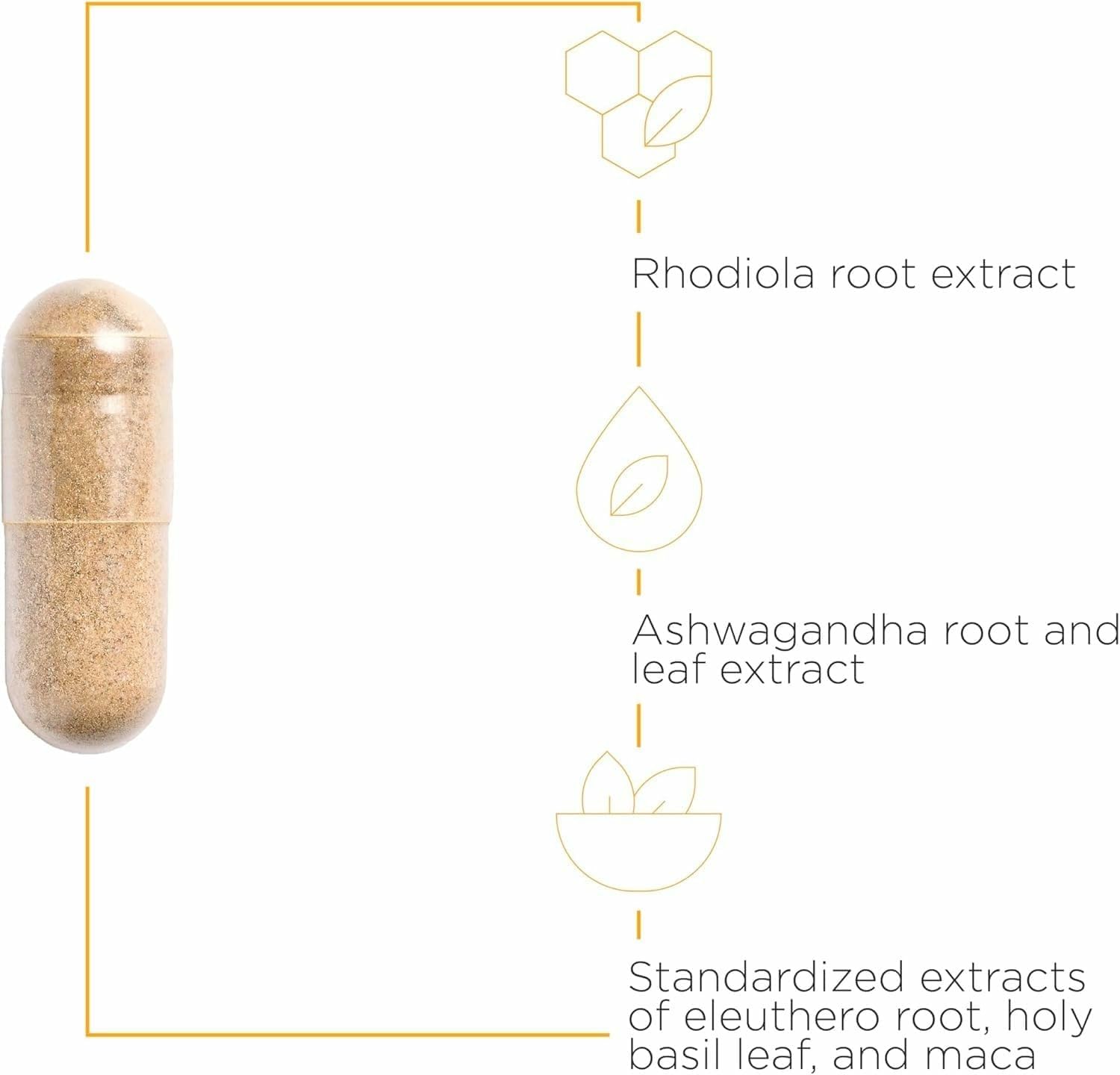 Integrative Therapeutics HPA Adapt - Adaptogenic Supplement for Stress Support* - Includes Ashwagandha, Rhodiola & Other Adaptogenic Herbs* - Vegan, Dairy-Free & Gluten-Free - 240 Capsules