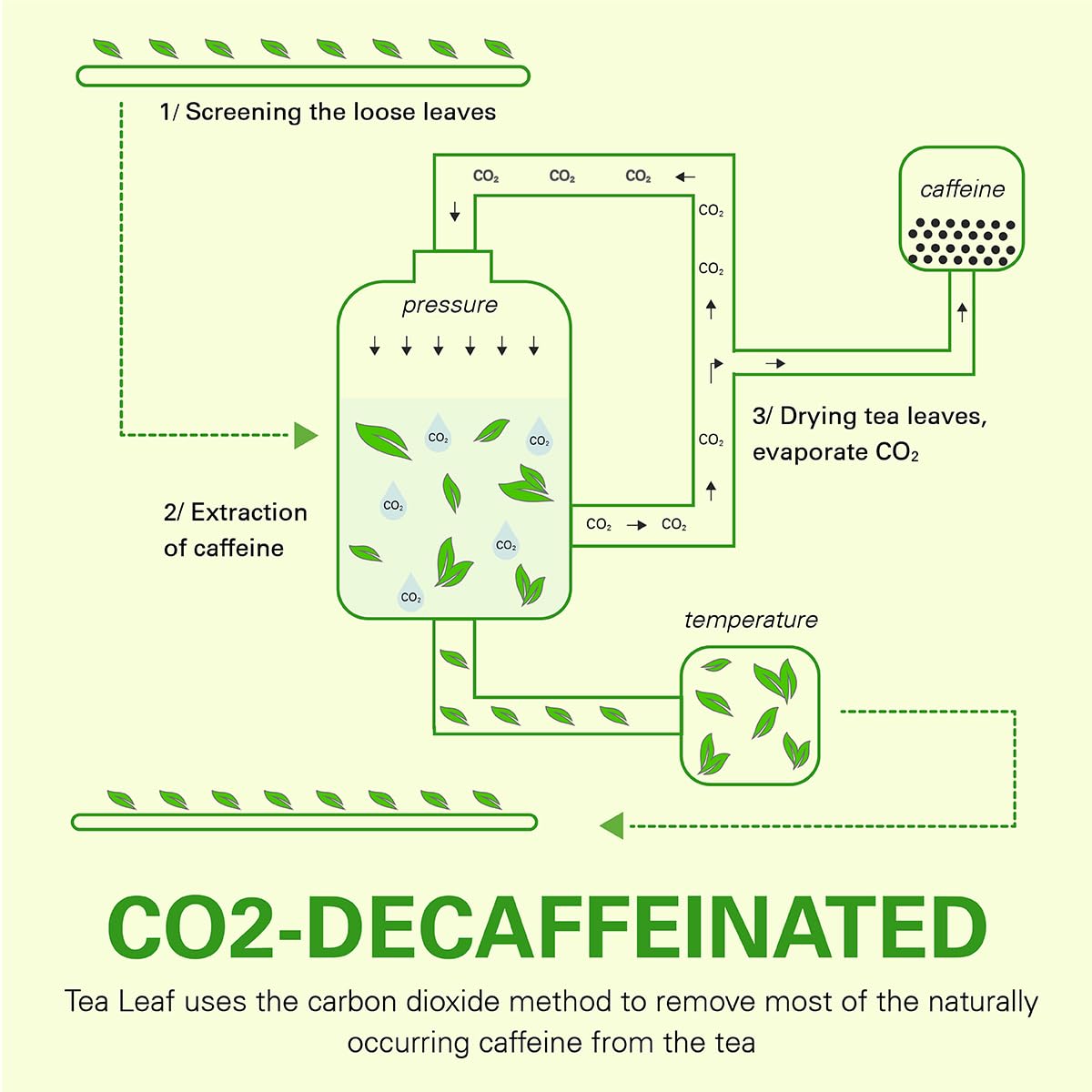 WT WEETEE Organic Decaf Green Tea Loose Leaf, 110+ Cups, Made of CO2-Decaffeinated Green Tea Leaves, Naturally Sweet, Smooth and Refreshing, 228g /8oz