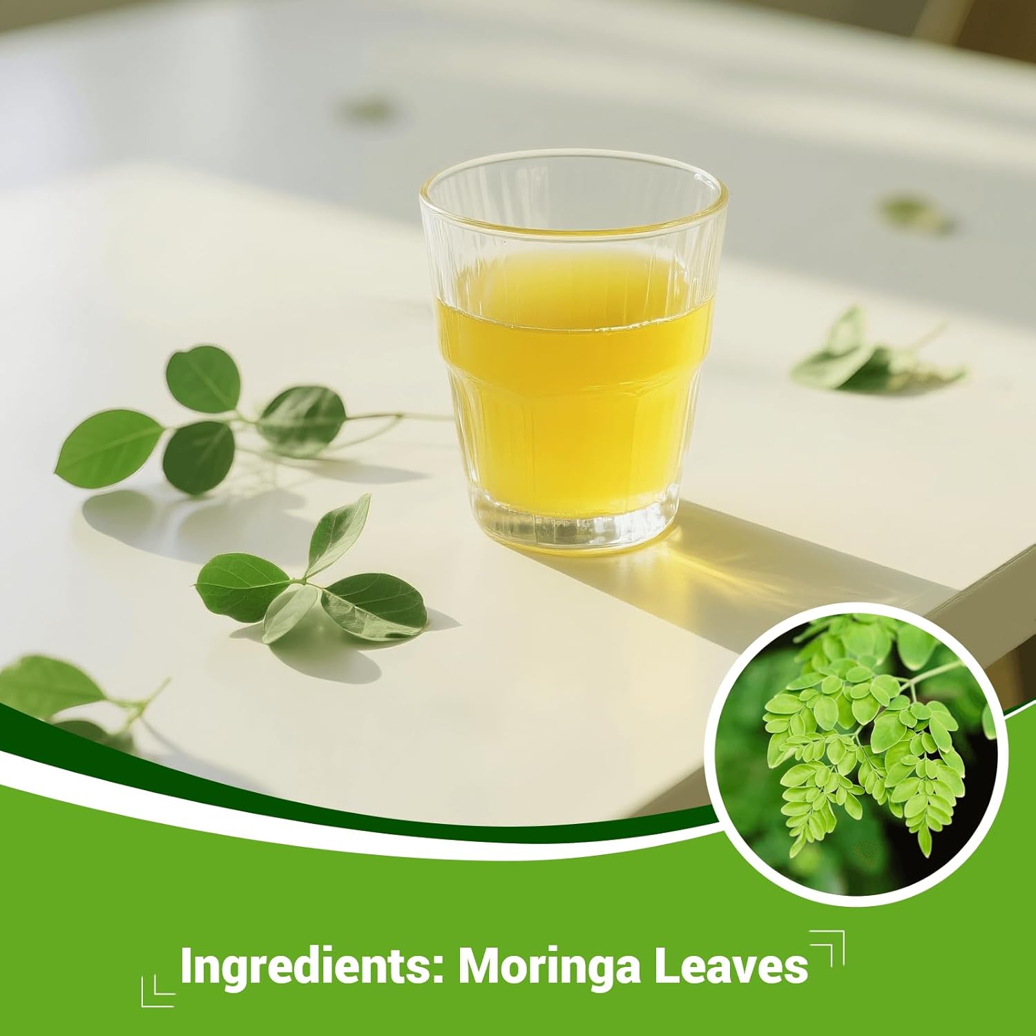 Moringa Leaf Tea - Caffeine Free, 50 Tea Bags