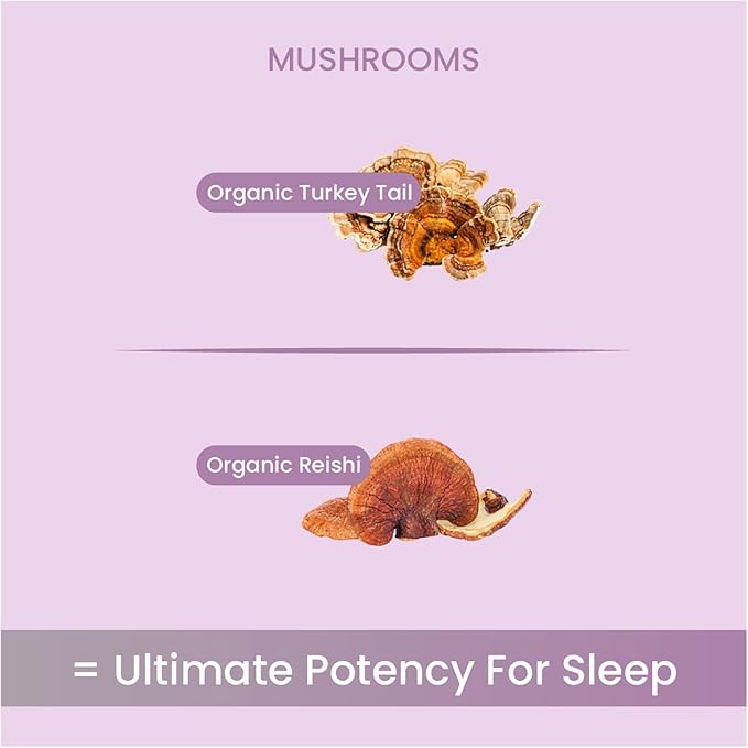 SLEEP Mushroom Powder 60g (30 Servings) | Organic Reishi & Turkey Tail | Best Organic Mushroom Powder for Sleep, Stress Relief & Immune Support | Functional Medicinal Mushroom Powder