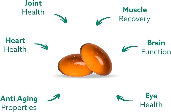 GLX3 Joint Support Extra Strength Omega-3 Supplement | Premium New Zealand Green Lipped Mussel Oil - Comfort, Flexibility, Muscle Recovery - ETA EPA DHA Omega 3 Capsules 2 Month