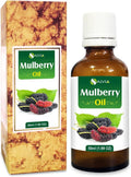Salvia Mulberry oil Pure and Natural Cold Pressed Mulberry Carrier Oil - 50 ml / 1.69 Fl Oz