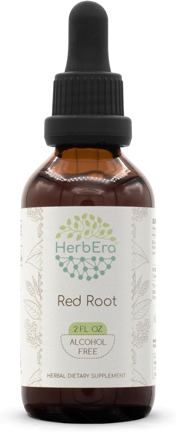 Red Root B60 Alcohol-Free Herbal Extract Tincture, Super-Concentrated (New Jersey Tea, Ceanothus Americanus) 2 fl oz