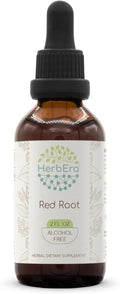 Red Root B60 Alcohol-Free Herbal Extract Tincture, Super-Concentrated (New Jersey Tea, Ceanothus Americanus) 2 fl oz