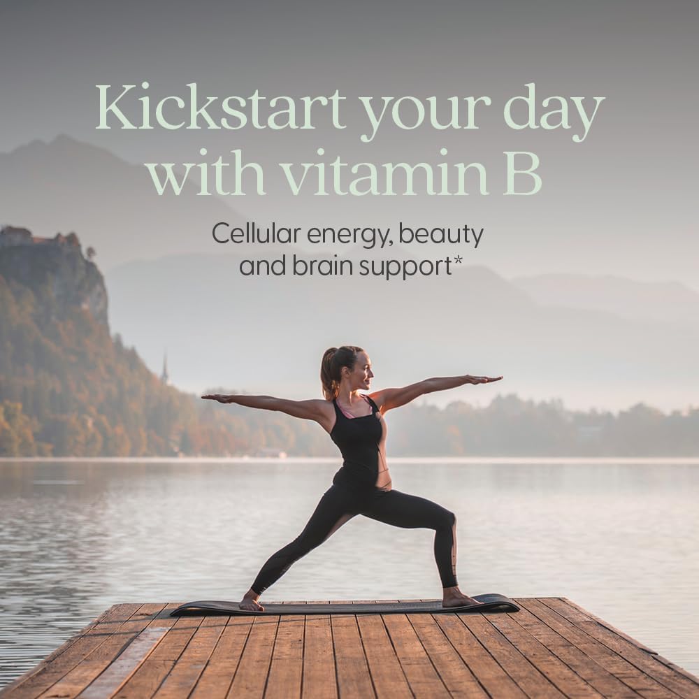 New Chapter Vitamin B Complex, Fermented Vitamin B Complex, USDA Organic, ONE Daily for Cellular Energy + Brain + Beauty, 100% Vegan, Gluten-Free - 60 Count