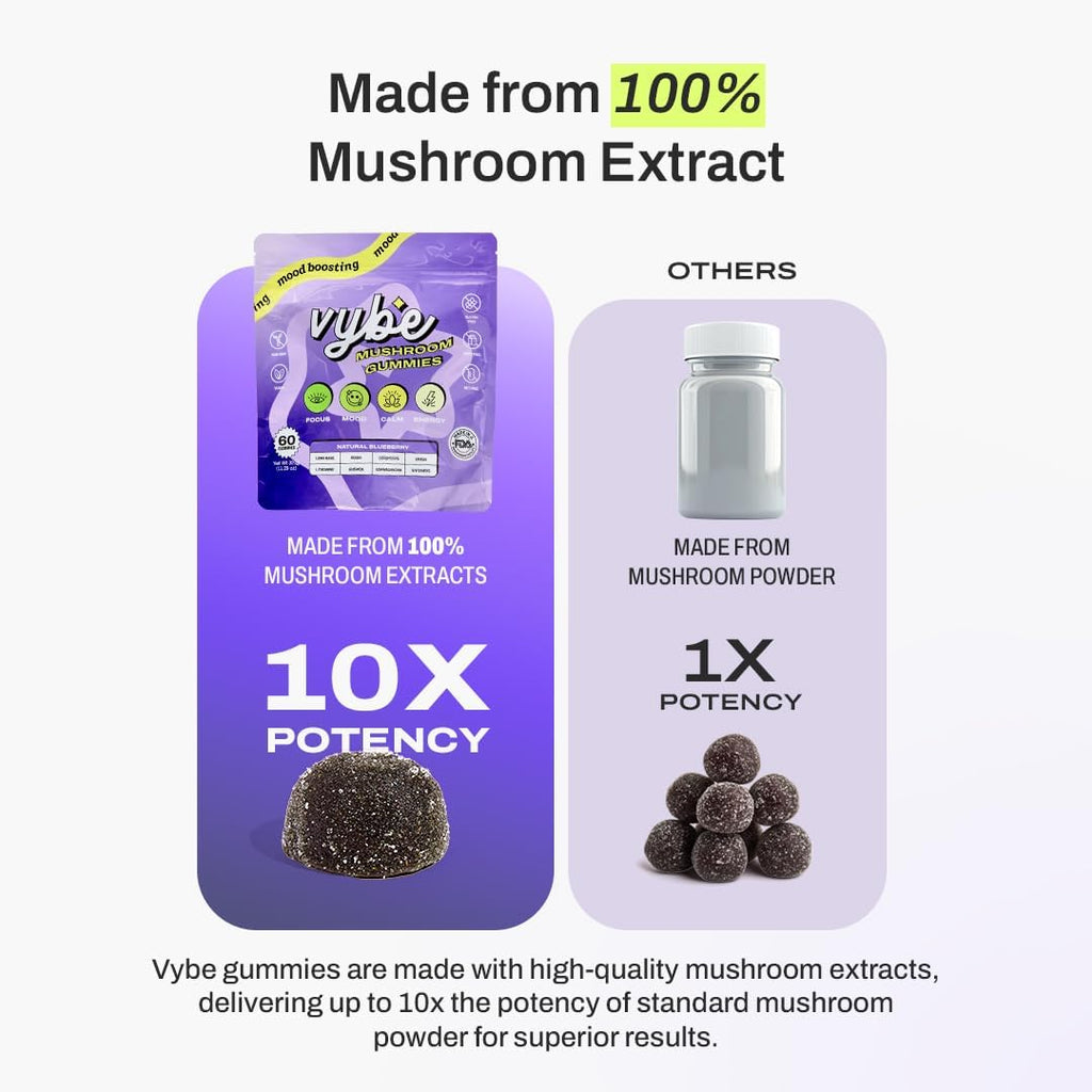 Vybe Daily Nootropic Gummies – 8-in-1 Mushroom & Adaptogen Brain Supplement for Focus, Energy, and Mood with Lion's Mane, Cordyceps, Reishi, Chaga, Ashwagandha (Blueberry, 60-Count)