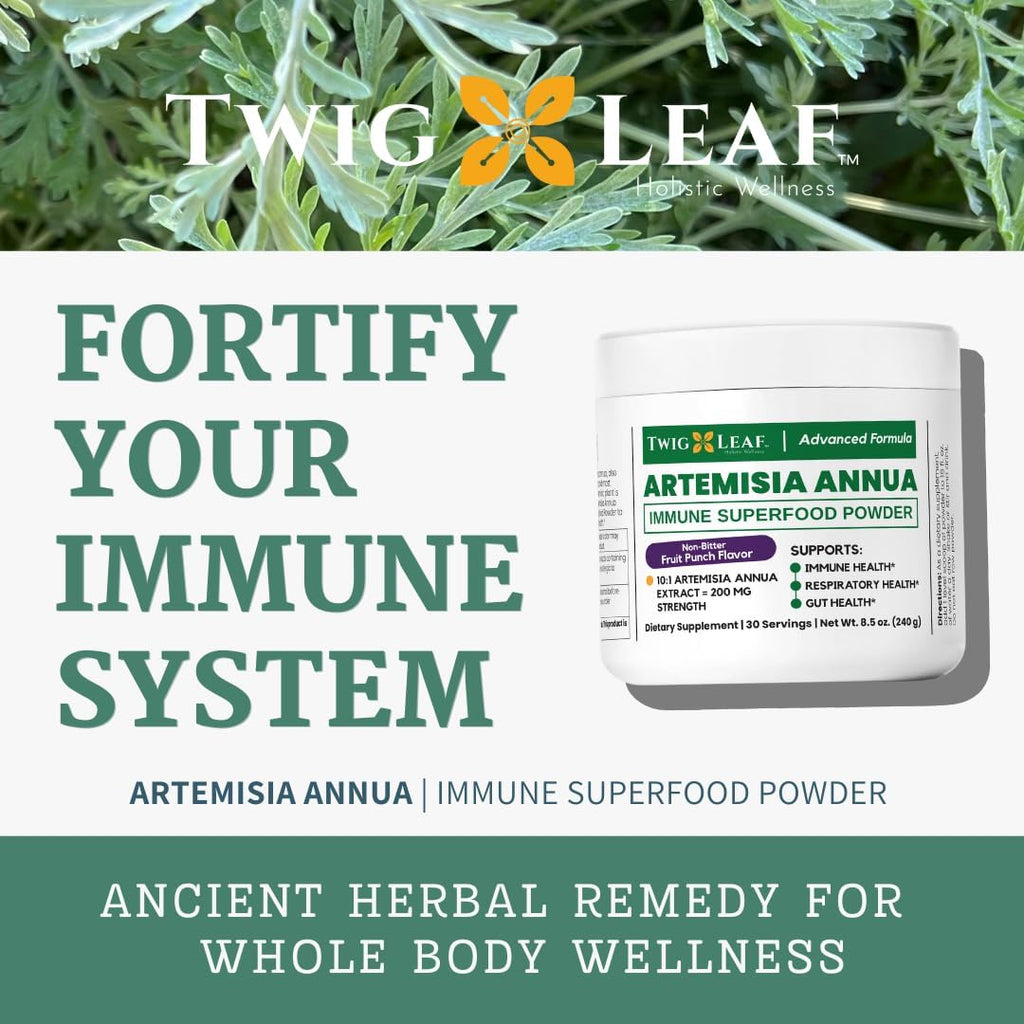 Artemisia Annua Sweet Wormwood Herbal Powder | Leaf Extract Brain Supports | Artemisinin Supplement | Sweet Wormwood Organic Extract | Non-GMO, Vegan, Gluten-Free | 30 Servings/8.5 Oz (240g)