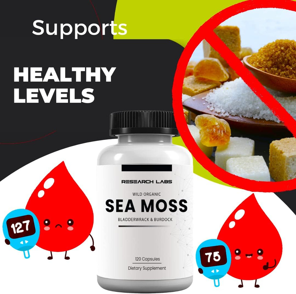 Research Labs 1 Fer 1 Ad Organic Irish Sea Moss Capsules, Raw Wildcrafted Seamoss Enhanced w/Bladderwrack & Burdock Root 120 Total Pills Antioxidant Powerhouse. Thyroid Support.