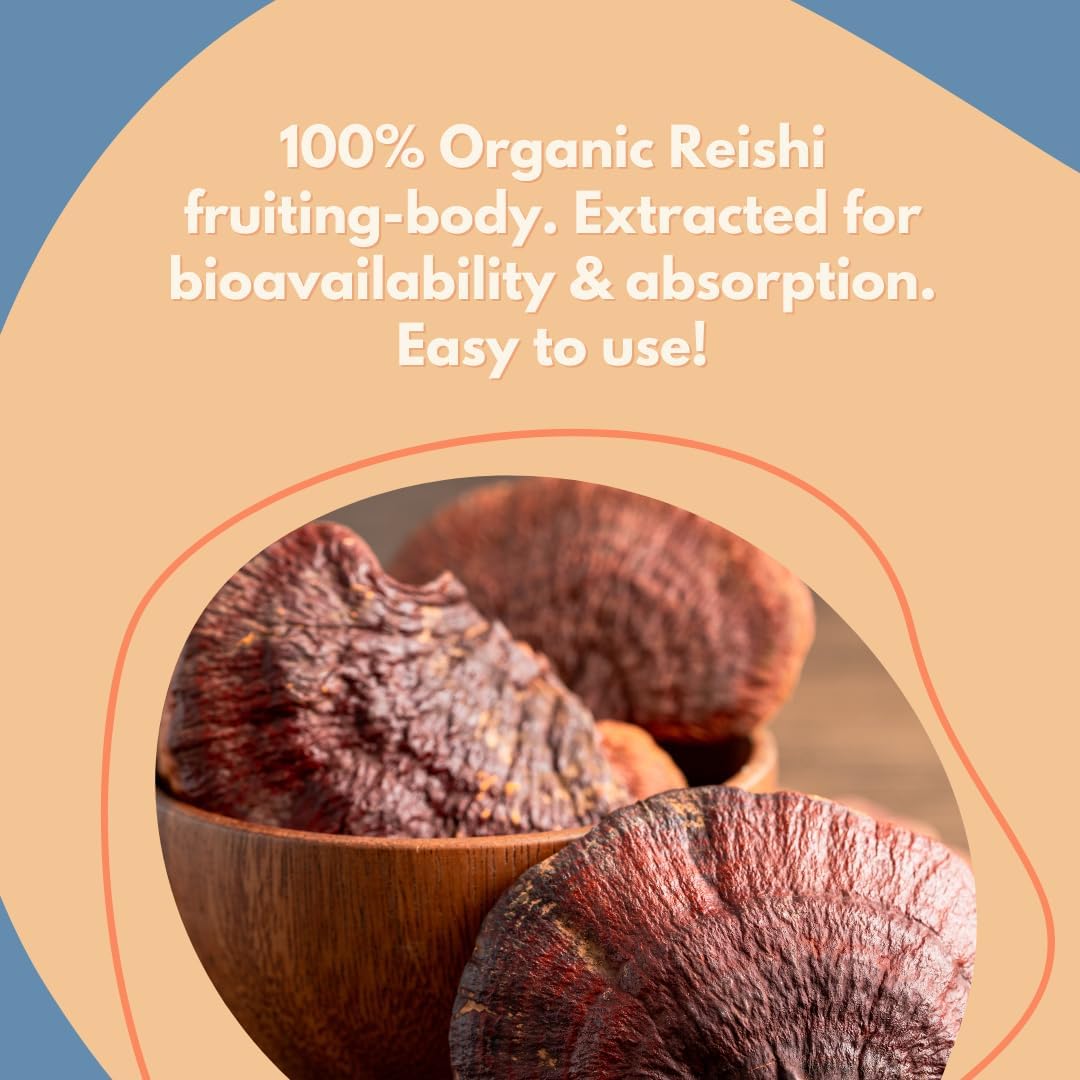 Malama Organic Mushroom Hot Cacao Mix, Reishi Mushroom Powder with Fair Trade Cacao for Immune Support & Relaxation – Vegan Supplement & Superfood, Non GMO, 3.5 oz (50 Servings)