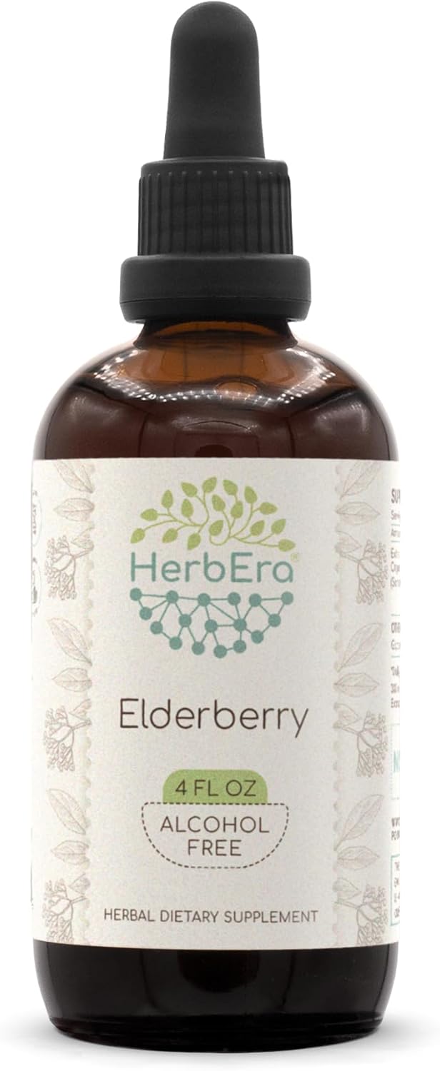 HerbEra Elderberry B120 Alcohol-Free Herbal Extract Tincture, Concentrated Liquid Drops Natural Elderberry (Sambucus Nigra) Dried Berry 4 fl oz