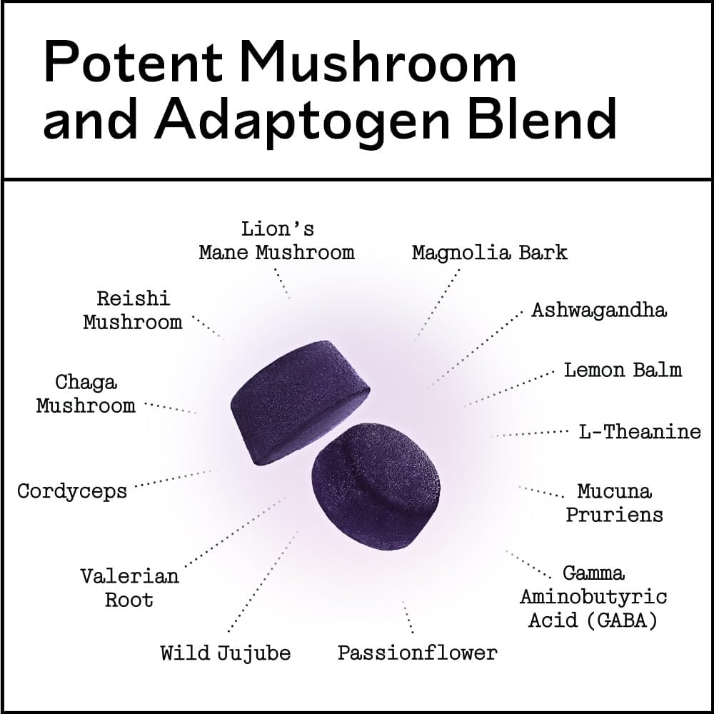 Nighttime Mushroom Adaptogen Gummies – Sugar-Free Vegan Mushroom Gummies For Adults with Reishi, Lion’s Mane, Chaga, Cordyceps, and Adaptogenic Botanicals for Sleep Support – Non-GMO, 60 Count