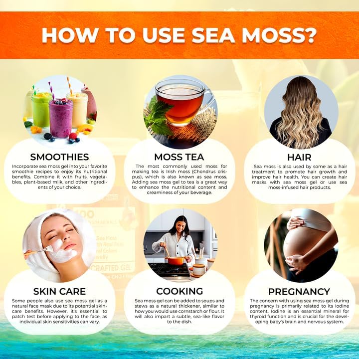 WELLNESS LABSRX Irish Sea Moss Gel Raw - Wildcrafted Superfood Seamoss Gel - Pineapple Mango Flavor, Vitamin and Mineral-Rich from Pristine Caribbean Waters - 10 oz.