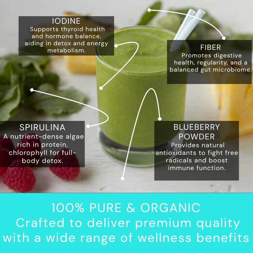 Ocean's Balance Daily Cleanse Smoothie Powder – Organic Blend with Blueberry, Spirulina, Dulse Seaweed & Barley Grass – Nutrient-Rich Superfood Smoothie Mix (4 oz - 3 Pack)