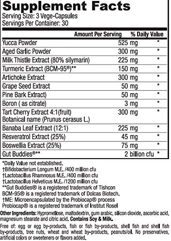 Flamasil™ (2 Pack)- for Healthy Inflammation Response* | Multi-Herbal Pain Reliever* and Joint Aid | Bio-Enhanced Turmeric, Boswellia, Resveratrol, and More | 13-in-1 Superfood Antioxidants