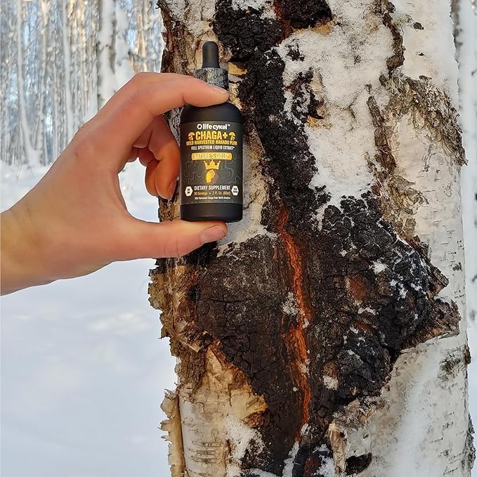 Life Cykel - Chaga Mushroom Extract with Kakadu Plum - Double Extracted Mushroom Tincture - Non-GMO Immune Support Supplement for Adults and Kids - 1 Fl Oz