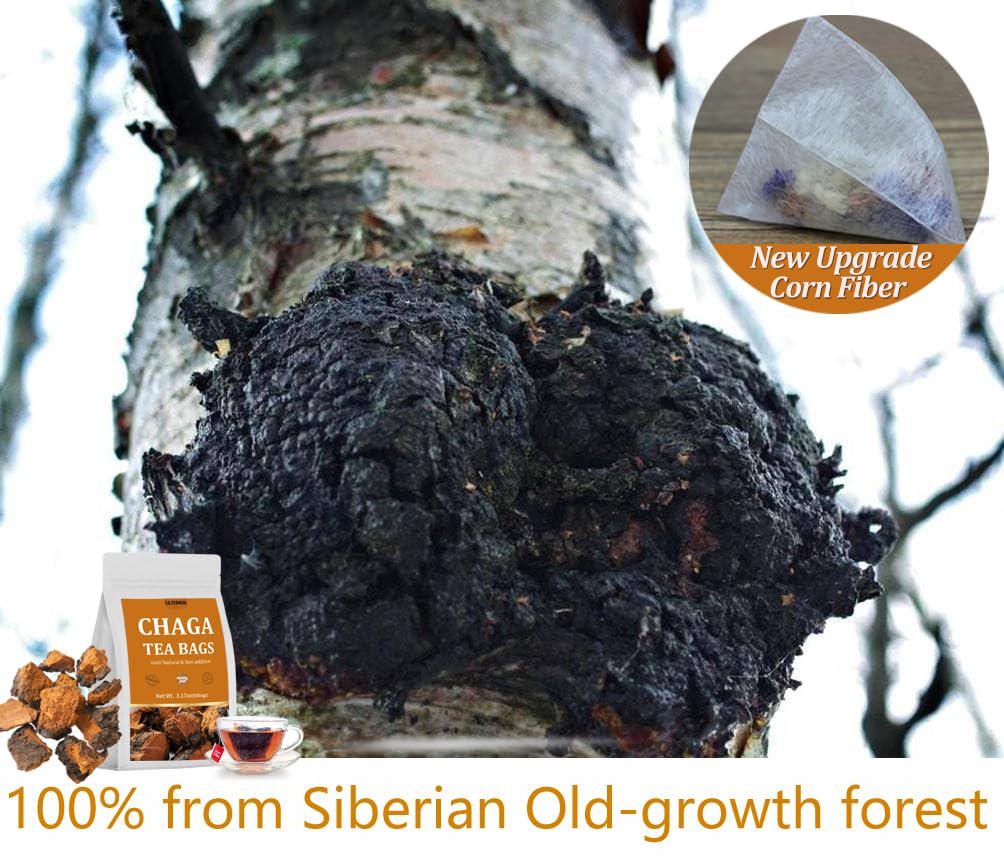 Premium 60 Chaga Tea Bags,100% Pure Siberian Wild Harvest Chaga Mushroom,No Additives,Caffeine Free.