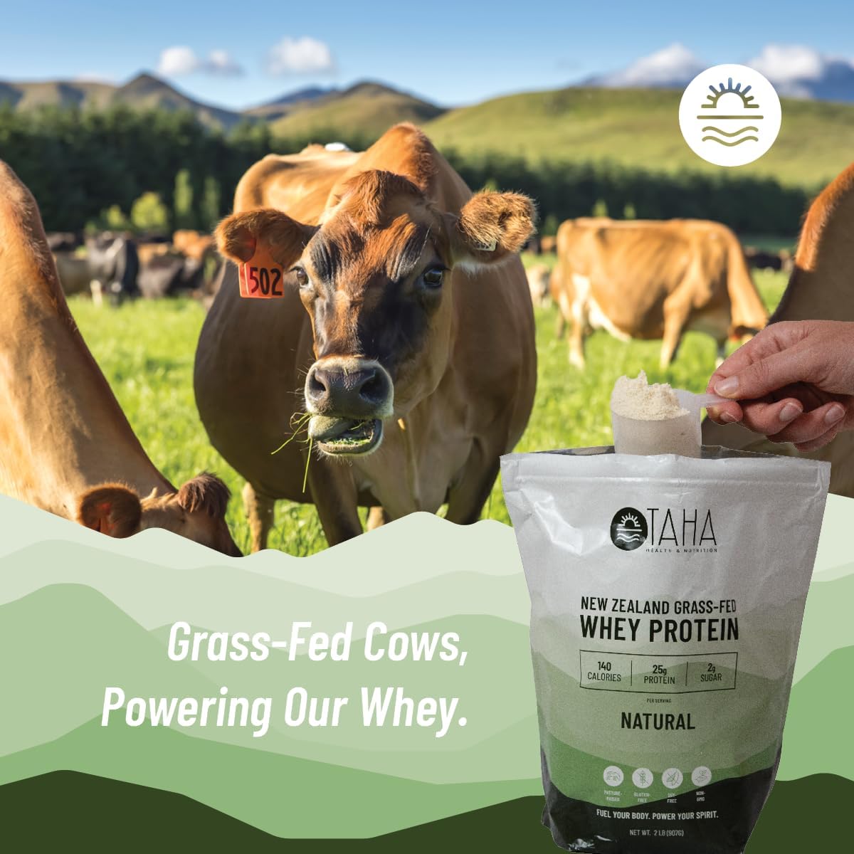 Taha Health & Nutrition Natural Unflavored Whey Protein Concentrate Powder, 25g Protein, 140 Calories, 2g Sugar | New Zealand Grass-Fed, Free-Range Dairy | Gluten and Soy Free, Keto, Kosher | 2LB