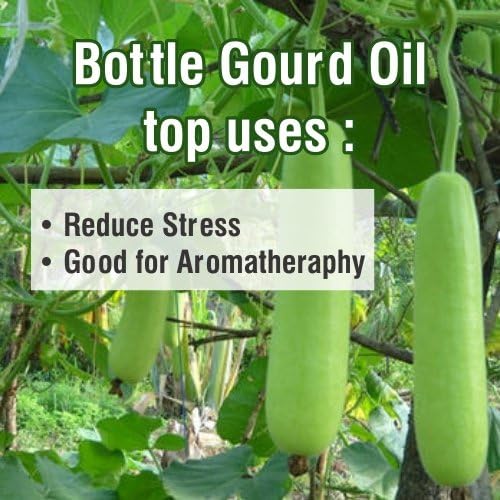 Salvia Bottle Gourd (Lagenaria siceraria) Oil - 30ml/1.014Fl Oz
