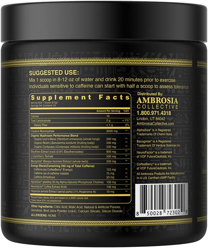 Ambrosia Kinetic Organic Preworkout, Mushroom Enhanced Natural Pre Workout Supplement, Nootropic Superfood Powder for Energy (Strawberry Guava)