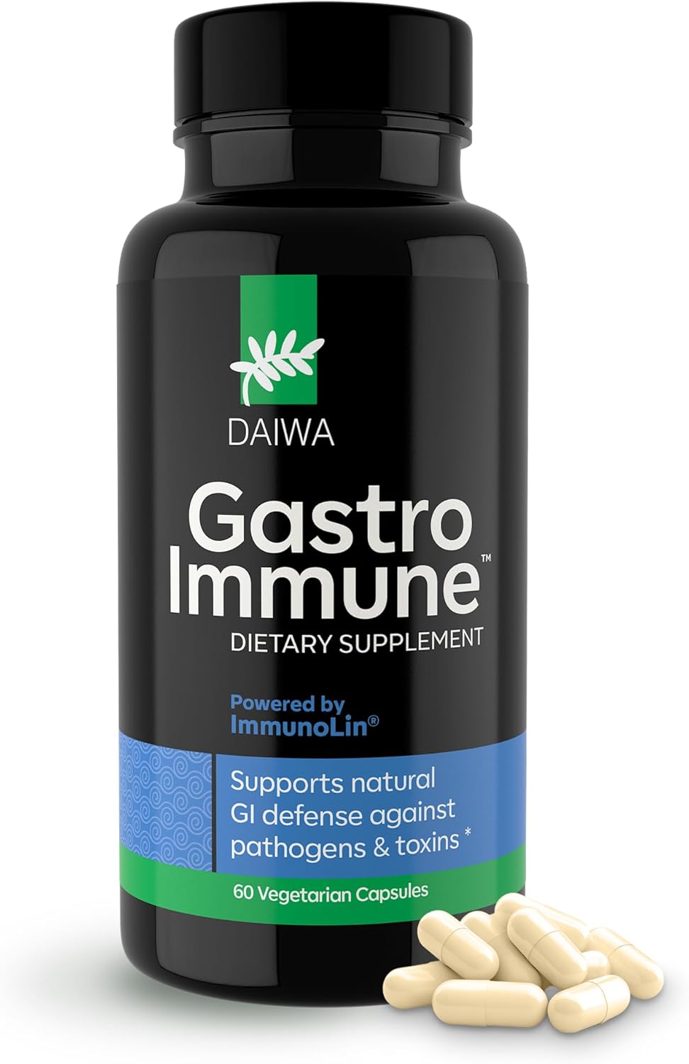 Daiwa GastroImmune - Gut Health and Immunity Supplement - Non-GMO, Protein-Based Formula for Digestive Wellness – 60 Capsules