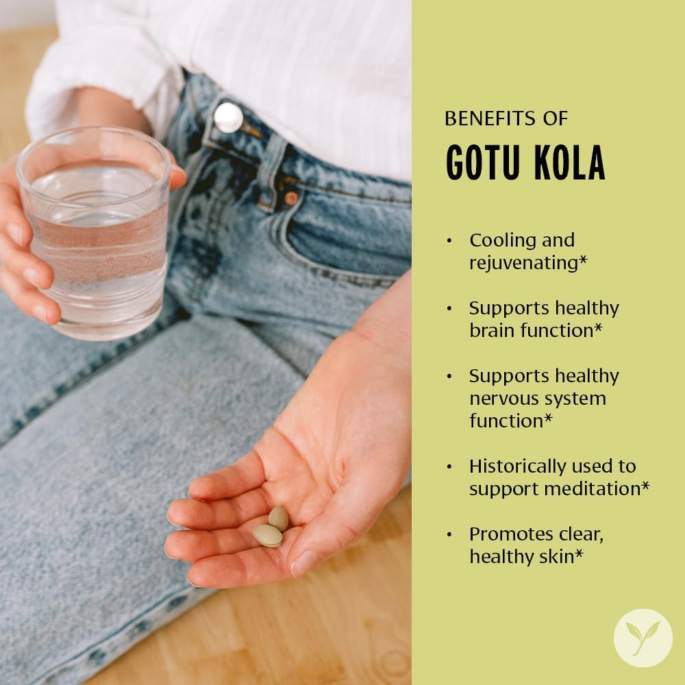 Banyan Botanicals Gotu Kola (Centella Asiatica) – Organic Adaptogen & Nootropic Brain Support Supplement for Healthy Memory & Concentration* – 90 Tablets – Fairly Traded Sustainably Sourced Vegan