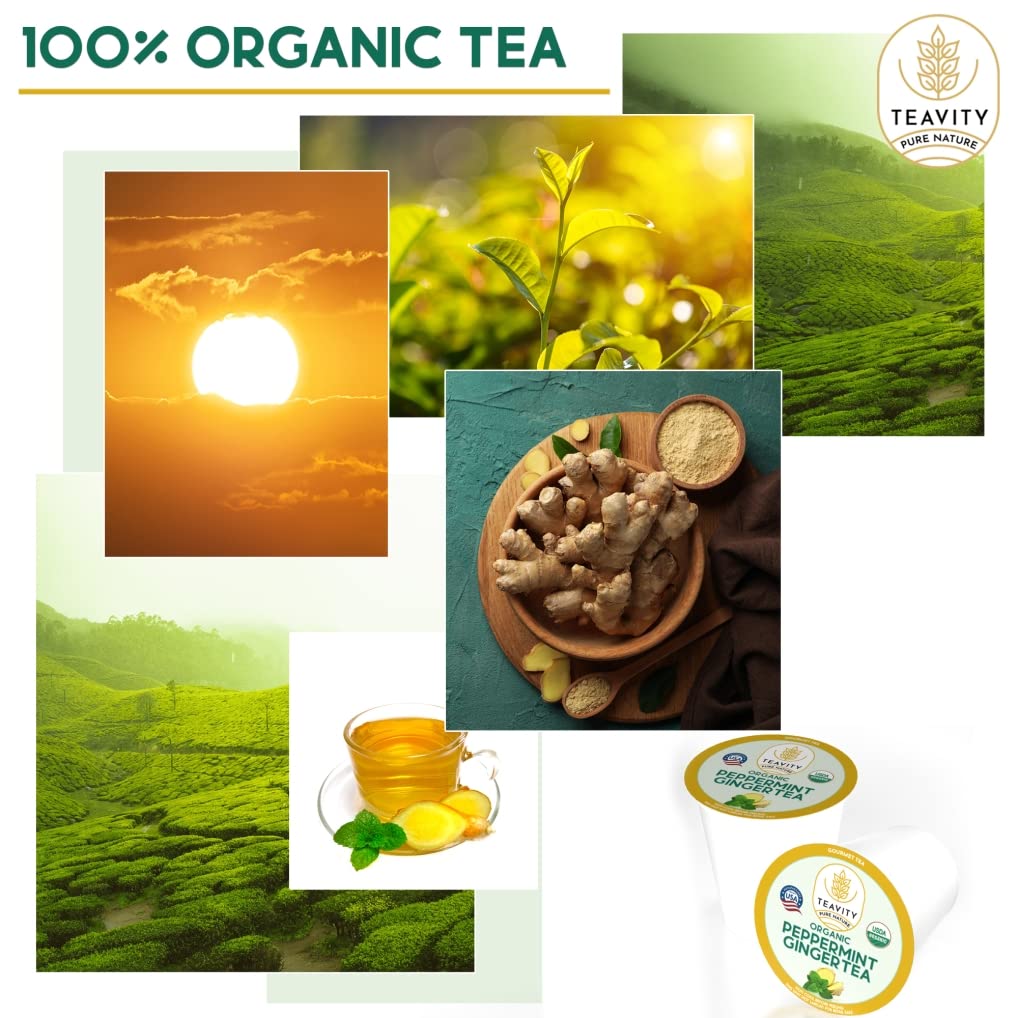 Organic Ginger Tea Pods for Keurig with Organic Peppermint Tea - Decaf Tea for K Cup Brewing Peppermint Ginger by Teavity (36 Tea Pods)