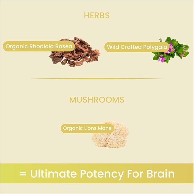 Mind Adaptogenic Mushroom Powder 60g (30 Servings) | 100% Organic Nootropic Mushroom Supplement Powder| Functional Mushroom Blend Powder for Focus
