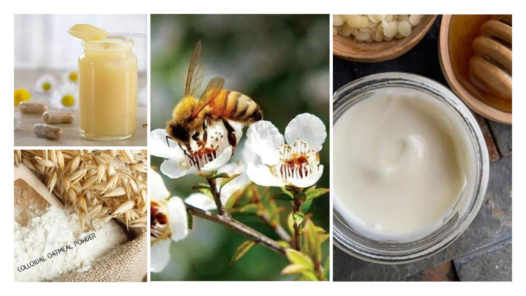 Organic Manuka Honey and Royal Jelly Lotion with Colloidal Oatmeal | Bee Moisturizing Lotion | Face and Body Lotion | For All Ages and Skin Types | (4 oz glass jar)