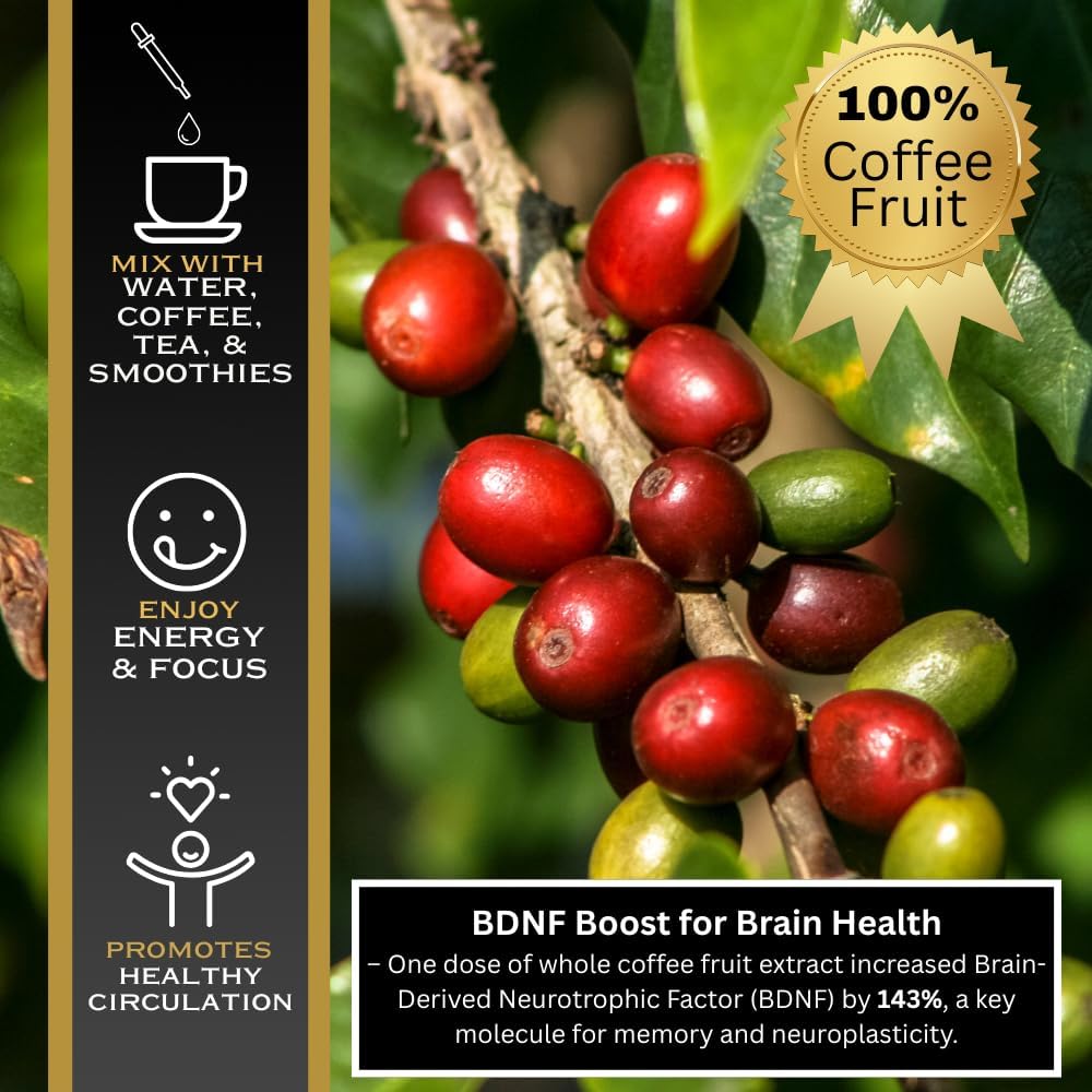 Javaberry Coffee Fruit Extract – Brain Supplement for Focus, Memory & Clarity – Supports BDNF & Mental Energy – Natural Antioxidant Nootropic Liquid with Polyphenols – 60ml (30 Servings)