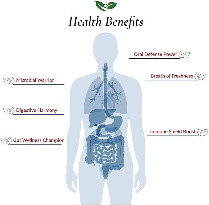 Foods For Gut Bifido Formula 320 Billion cfu's | Made in USA | No Additives | Direct from Manufacturer | No Third-Party Storage | Immune Support | May Help Leaky Gut Repair | 100 Gram (3.52 OZ)